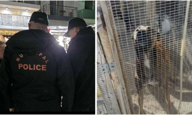 Ιεράπετρα: Σκύλος επιτέθηκε σε Δημοτικούς Αστυνομικούς κατά τη διάρκεια ελέγχου