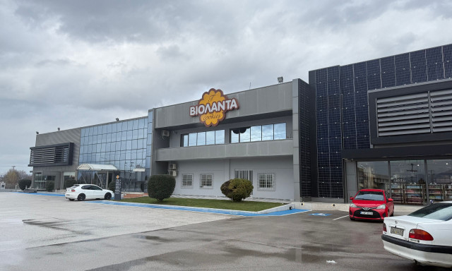 Βιολάντα: Από φούρνος γειτονιάς σε επιχειρηματικό case study - Πώς εκτοξεύτηκε η μπισκοτοβιομηχανία