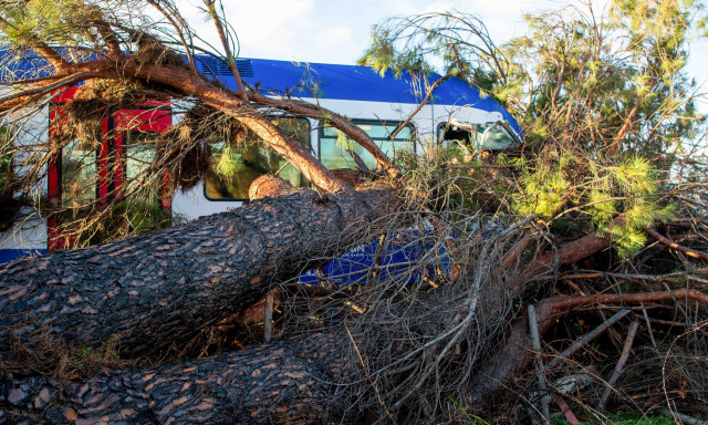 Hellenic Train: Η ανακοίνωση της εταιρείας για την πτώση δέντρου σε αμαξοστοιχία στο Κατάκολο
