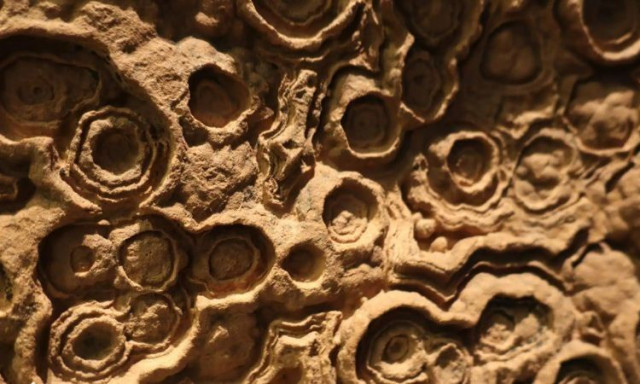 Αρχαίο «τσιμέντο» διατήρησε τα πιο παράξενα απολιθώματα του κόσμου – Οι επιστήμονες γνωρίζουν το πώς