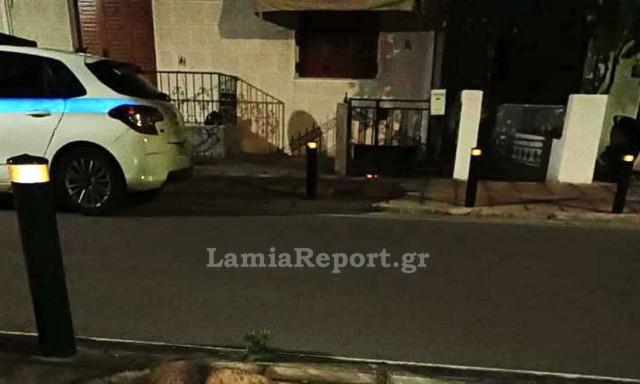 Λαμία: Εντοπίστηκε τραυματισμένη αλεπού μέσα σε κατοικημένη περιοχή