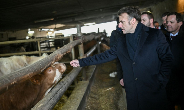Μακρόν: Έβγαλε τα γυαλιά ηλίου και επισκέφθηκε φάρμα με αγελάδες