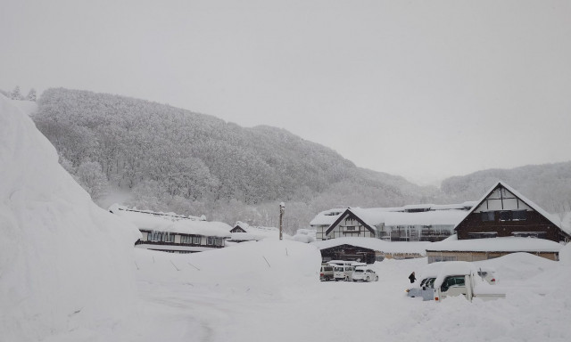 Φονική χειμερινή καταιγίδα στην Ιαπωνία: Τουλάχιστον 30 νεκροί από σφοδρές χιονοπτώσεις - Βίντεο