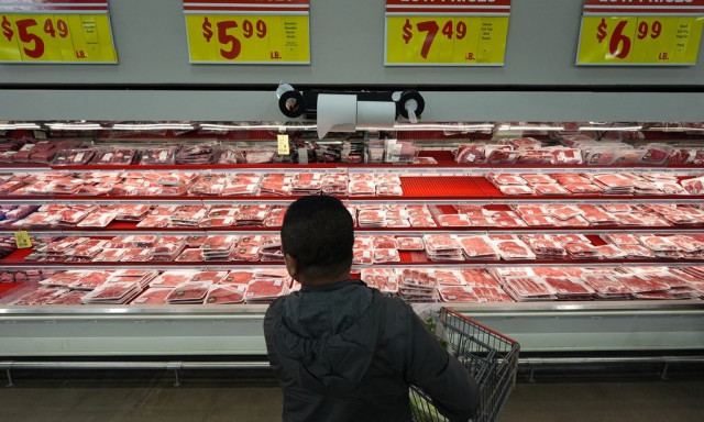 EFSA: Κρέας στην κατάψυξη - Πώς αναπτύσσονται τα βακτήρια σε κάθε στάδιο πριν φτάσει στο πιάτο μας