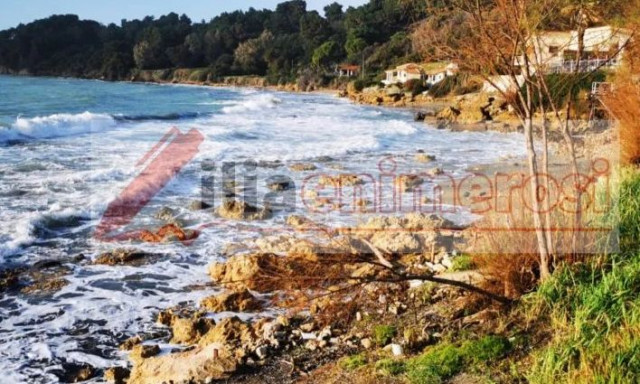 Κατάκολο: «Εξαφανίστηκε» η ακτή, η θάλασσα έφτασε στα οικόπεδα – Βίντεο