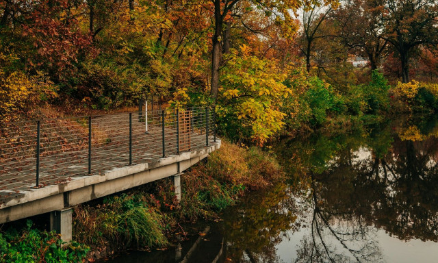 Αϊόβα: Ένα μικροσκοπικό ψάρι «ανέστησε» τις χαμένες λίμνες