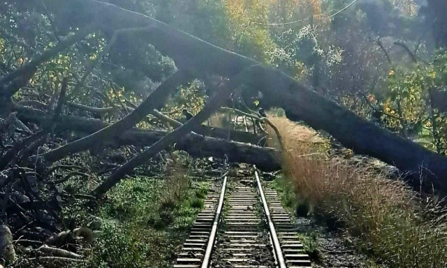 Hellenic Train: Ακυρώνονται δρομολόγια του Οδοντωτού λόγω πτώσης δέντρων