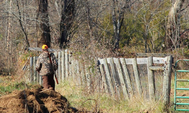 Εύβοια: Κυνηγός τραυματίστηκε από βόλι σε κυνήγι αγριόχοιρου - Υποβλήθηκε σε χειρουργική επέμβαση