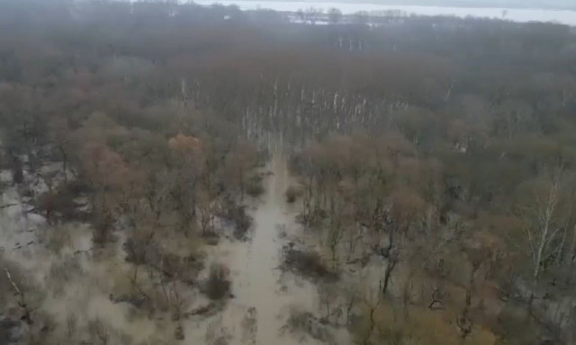 Έβρος: Έσπασε ανάχωμα στον κάμπο Χειμωνίου - Βίντεο από τις πλημμυρισμένες εκτάσεις