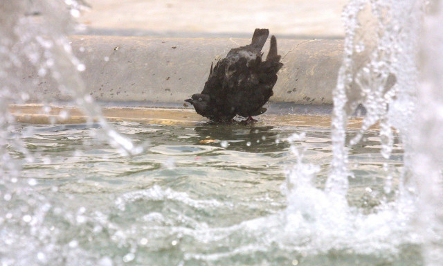 Καλλιθέα: Καθαρή από εγκεφαλικό οίδημα η αξονική στο 2,5 ετών κοριτσάκι που έπεσε στο σιντριβάνι