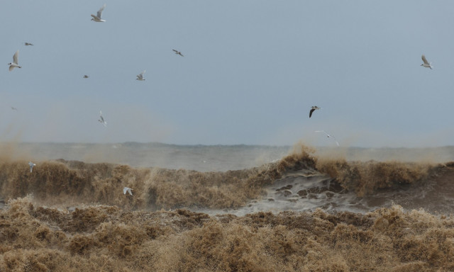 Σφοδρή κακοκαιρία σε Ζάκυνθο και Κεφαλονιά: Χωρίς ακτοπλοϊκή σύνδεση