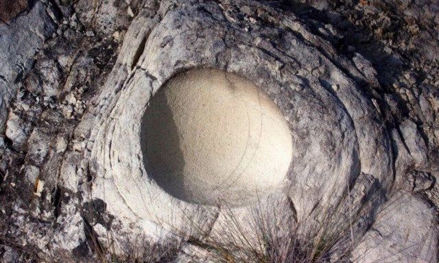 Επιστήμονες βρήκαν αυγό δεινοσαύρου μέσα σε άλλο αυγό - Ήταν θαμμένο για 68 εκατομμύρια χρόνια