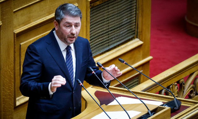 Ανδρουλάκης στη Βουλή: «Υπόθεση της ΝΔ η υπόθεση Παναγόπουλου, εσείς κυβερνάτε»