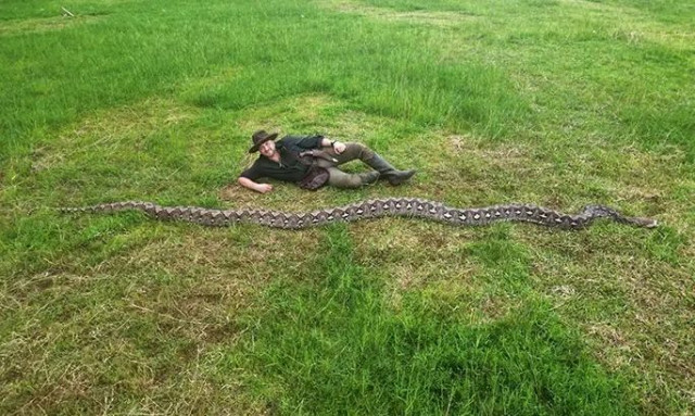 Γνωρίστε τη «Βαρόνη» - Το μακρύτερο φίδι στον κόσμο μόλις ανακαλύφθηκε