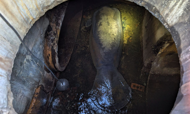 Φλόριντα: Διασώθηκε μανάτος που είχε κολλήσει σε αποχετευτικό αγωγό - Αναρρώνει σε θαλάσσιο πάρκο