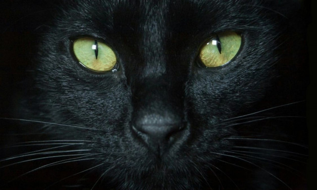 Γιατί οι Έλληνες φοβούνται την Τρίτη και 13 και ο υπόλοιπος κόσμος την Παρασκευή και 13;