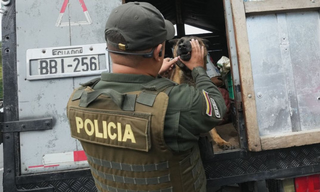 Η Κολομβία ξαναρχίζει την καταστροφή καλλιεργειών κόκας με τη χρήση γλυφοσάτης