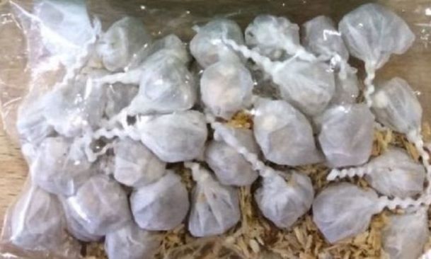 Πτολεμαϊδα: 53χρονη κατείχε σε κατάστημα παράνομα 1.450 παιδικά βεγγαλικά