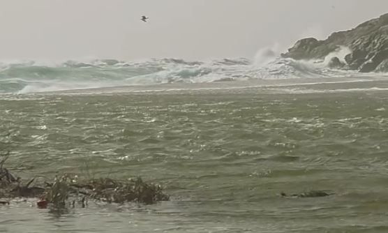 Μύκονος: Στο έλεος των θυελλωδών ανέμων - Εντυπωσιακές εικόνες από Καλαφάτη και Αγράρι