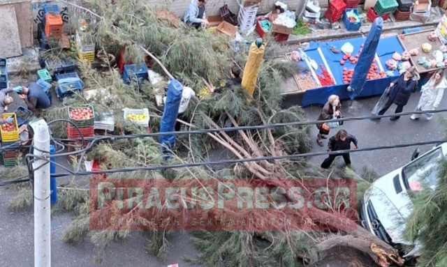 Πτώση δέντρου σε λαϊκή αγορά στον Πειραιά - Φωτογραφίες