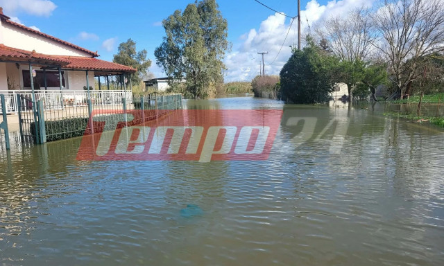 Κακοκαιρία: Υπερχείλισε ο Πηνειός στην Ηλεία - Πλημμύρισαν σπίτια στο Βαρθολομιό (Βίντεο)