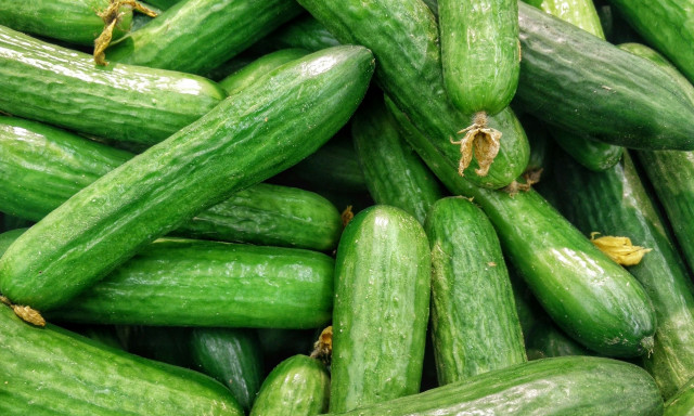 Ρωσία: Αγγούρια από χρυσάφι εν καιρώ πολέμου - Εφημερίδα προσέφερε στους αναγνώστες της σπόρους