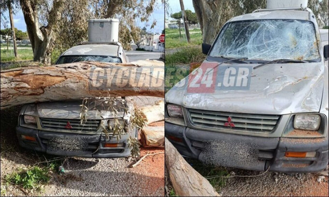 Σαντορίνη: Μεγάλο δέντρο έπεσε σε σταθμευμένο αυτοκίνητο στο Καμάρι