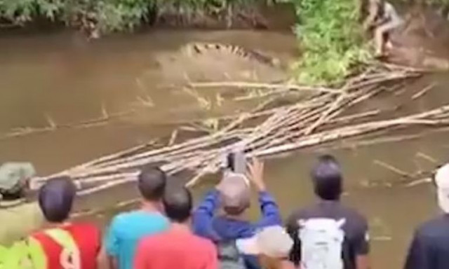 Ινδονησία: Κροκόδειλος 4 μέτρων κατασπάραξε 35χρονη που μάζευε μύδια σε ποτάμι - Σκληρά πλάνα