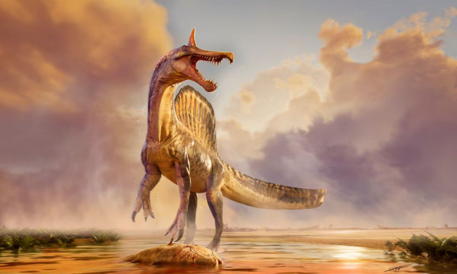 Στην έρημο της Σαχάρας βρέθηκε ένας «υπέροχος» δεινόσαυρος 13 μέτρων με πολύχρωμη ράχη