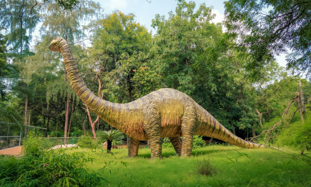 Κίνα: Ανακάλυψαν δεινόσαυρο 28 μέτρων – Ένας νέος κυρίαρχος της Ιουράσιας περιόδου