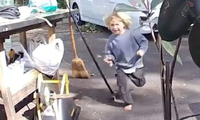 Τρομακτικό βίντεο: Κογιότ καταδιώκει τρίχρονο αγόρι μέσα στην αυλή του σπιτιού