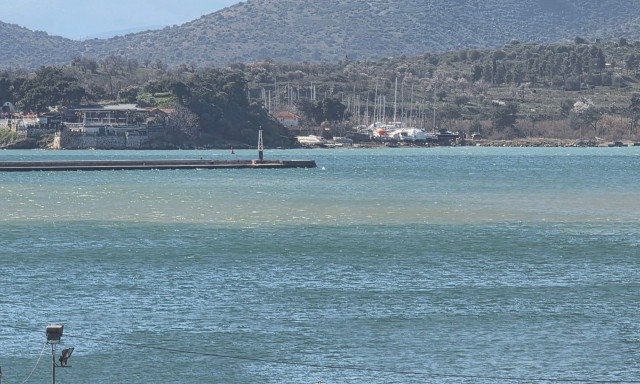 Βόλος: Καφέ κηλίδα εμφανίστηκε στο λιμάνι - Τι είπε το Λιμεναρχείο