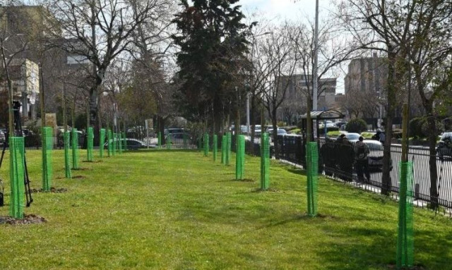 Θεσσαλονίκη: Εκατό δέντρα για τη συμπλήρωση εκατό χρόνων από τη λειτουργία του ΑΠΘ