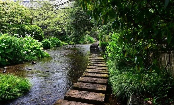 Ιαπωνία: Μητέρα εγκατέλειψε το παιδί της στο βουνό επειδή ήταν άτακτο