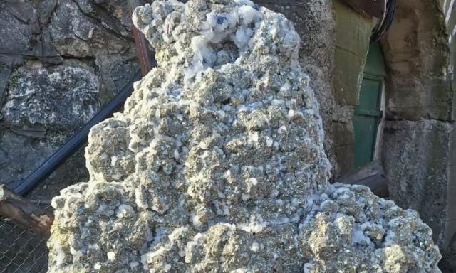 Ανθρακωρύχοι βρίσκουν έναν «θησαυρό» της φύσης στα έγκατα της γης