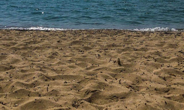 Θρίλερ στη Χαλκιδική: Σε άνδρα που πέθανε το 2004 ανήκουν τα οστά που βρέθηκαν σε παραλία