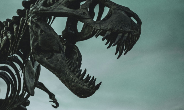 Επιστήμονες ανακάλυψαν γιγάντιο δεινόσαυρο που μοιάζει με πουλί στην έρημο του Νίγηρα