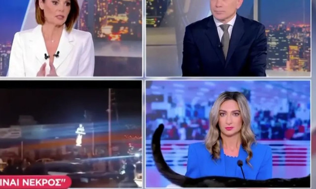 Η μαύρη γάτα του ΣΚΑΪ έκανε... πασαρέλα σε ζωντανή μετάδοση - Βίντεο