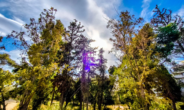 Καιρός αύριο: Ανοιξιάτικο σκηνικό με άνοδο της θερμοκρασίας