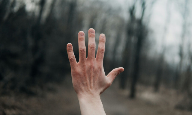 Η αναλογία 2D:4D - Τα δάχτυλά σας κρύβουν το μυστικό της εξέλιξης του εγκεφάλου