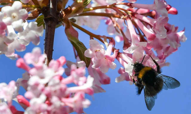 Καιρός: «Οι Λεονταρισμοί του Μάρτη» - Η πρόγνωση Ζιακόπουλου μέχρι και το τέλος της εβδομάδας