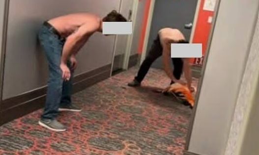 Λας Βέγκας: Βάναυση κακοποίηση φλαμίνγκο - Τουρίστας το έκλεψε για selfie και του έβγαλε το φτερό