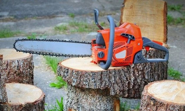 Θεσσαλονίκη: Στη φυλακή ο 63χρονος για τον θάνατο 51χρονου ενώ έκοβαν ξύλα παράνομα