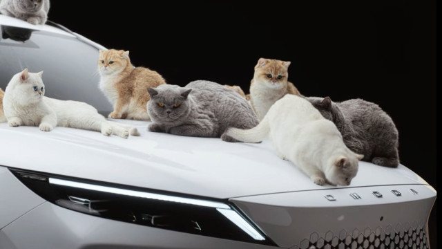 Η Omoda επιστρατεύει… γάτες για να διαφημίσει το νέο Omoda 7