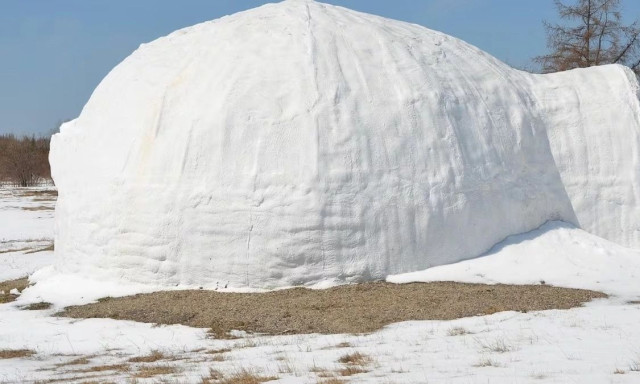 Οικογένεια στη Γερμανία έχτισε ιγκλού στον κήπο της: «Μας πήρε μια ολόκληρη μέρα»