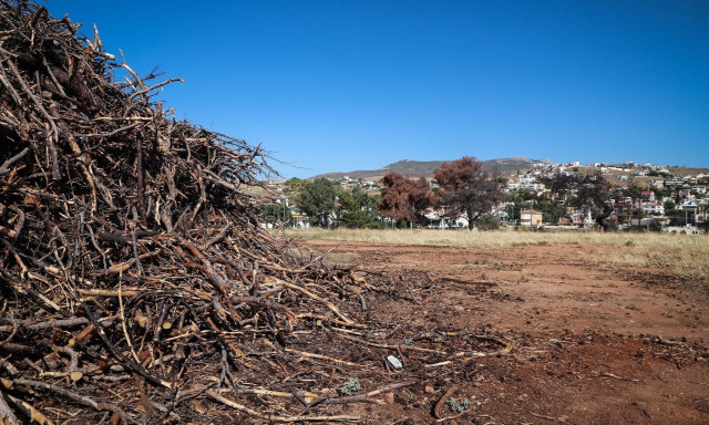 Ακαθάριστα οικόπεδα: Από 1η Απριλίου ξεκινά η προθεσμία καθαρισμού - Τι αλλάζει από φέτος
