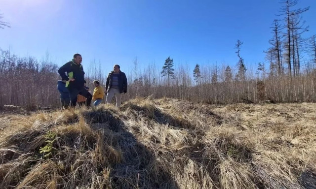 Αρχαιολόγοι στην Τσεχία ερεύνησαν τύμβο σε αγρόκτημα και ανακάλυψαν ερείπια 5.000 χρόνων