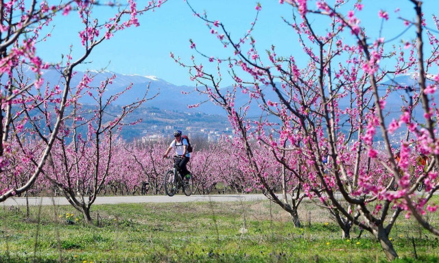 Καιρός: Εξασθενεί σταδιακά ο βοριάς – Σε μικρή άνοδο η θερμοκρασία