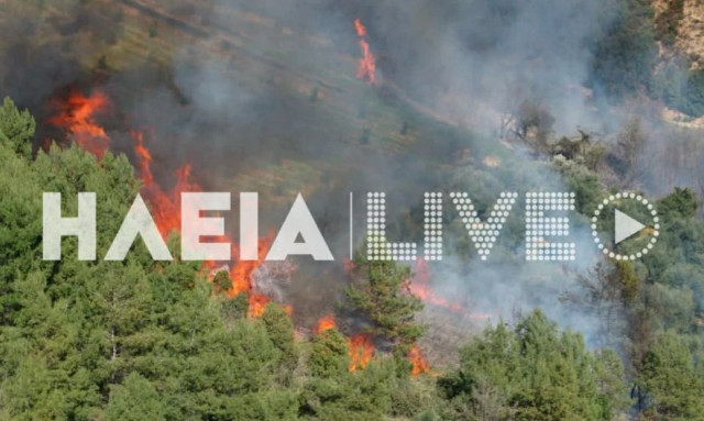 Μαίνεται η φωτιά στην Ηλεία - Καίει σε δύσβατη περιοχή