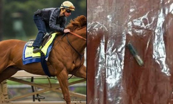 Οργή στην Τουρκία: Σκότωσαν άλογο κούρσας και το σέρβιραν σε συσσίτιο του δήμου